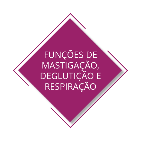 Fonoaudiologia - Motricidade Orofacial - Funções de Mastigação, Deglutição e Respiração